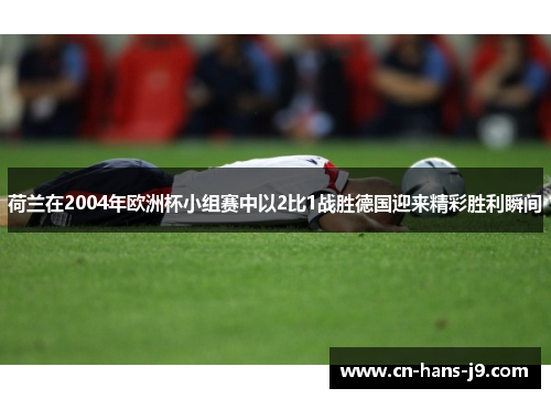 荷兰在2004年欧洲杯小组赛中以2比1战胜德国迎来精彩胜利瞬间