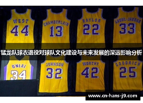 猛龙队球衣退役对球队文化建设与未来发展的深远影响分析