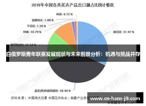 白俄罗斯青年联赛发展现状与未来前景分析：机遇与挑战并存